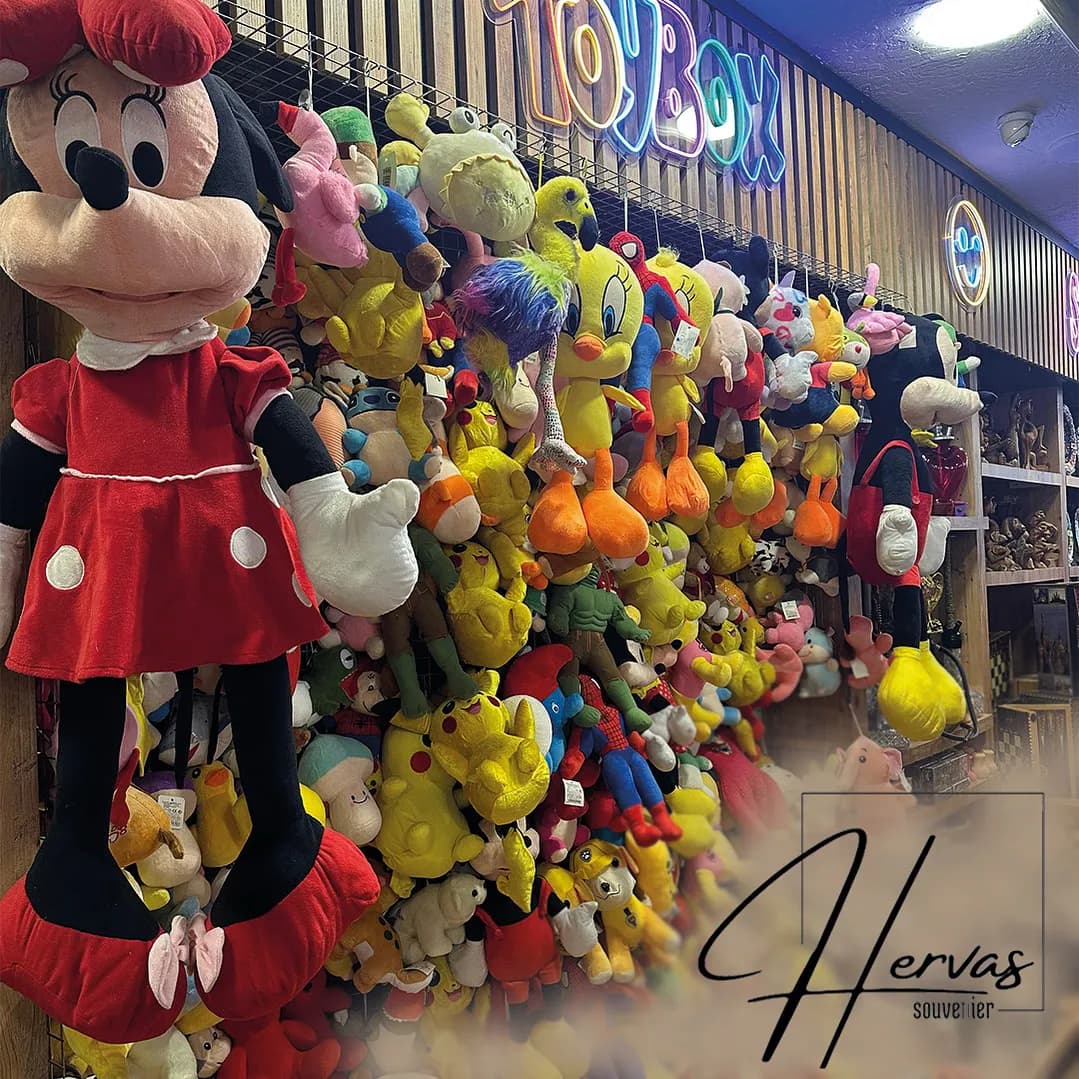 Hervas Souvenir Store view 7