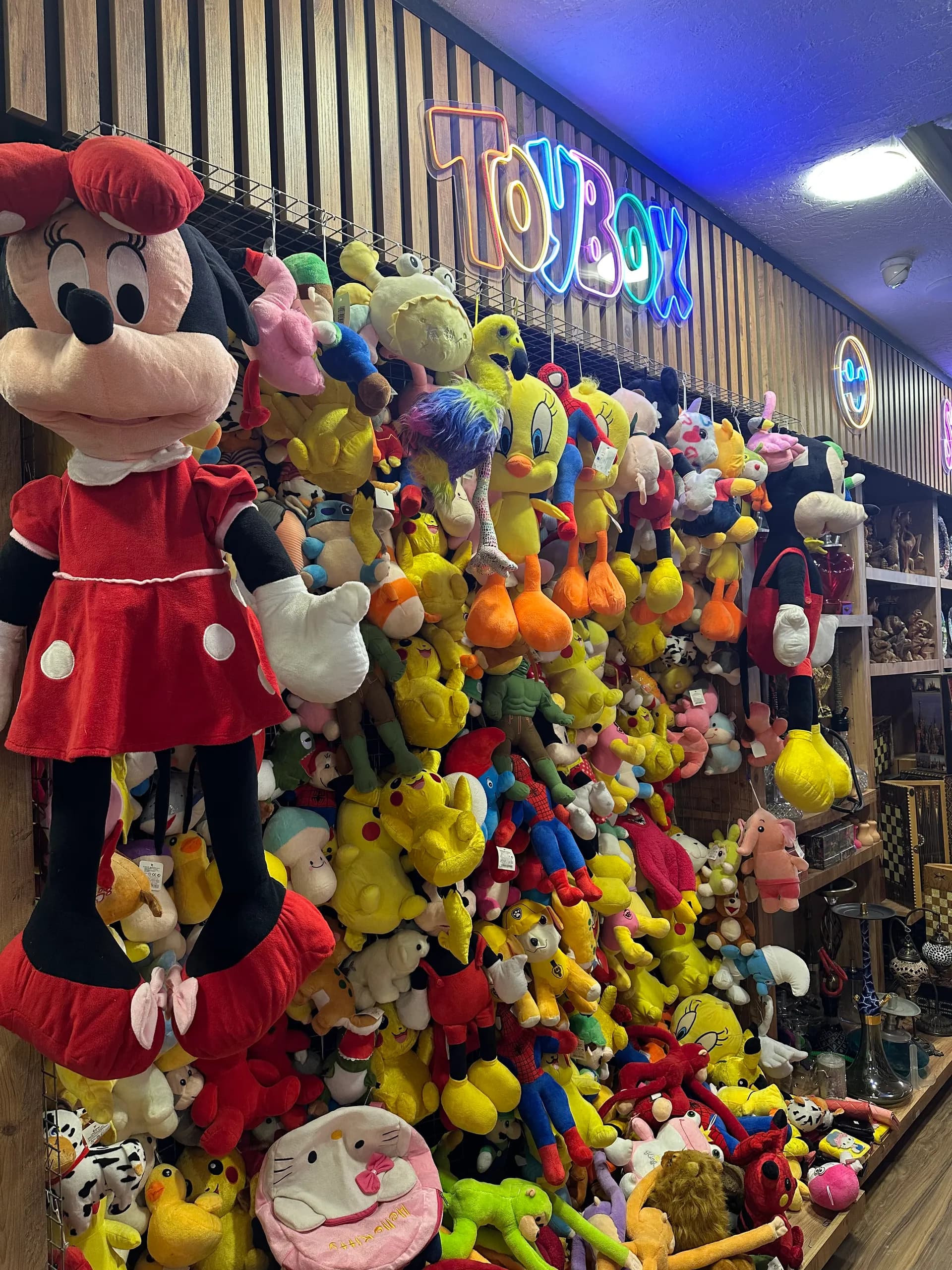 Hervas Souvenir Store view 9